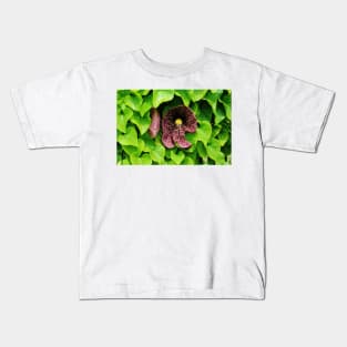 Dutchman's Pipe Vine Kids T-Shirt